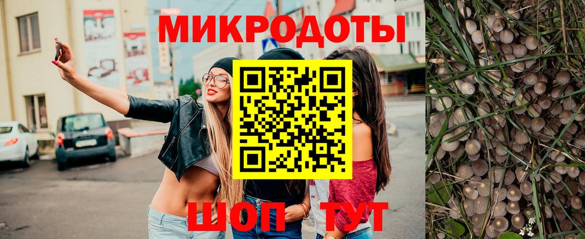 Псилоцибиновые грибы GOLDEN TEACHER Нальчик